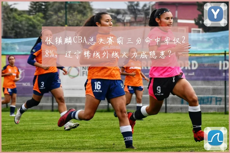 张镇麟CBA总决赛前三分命中率仅28%,辽宁锋线外线火力成隐患?